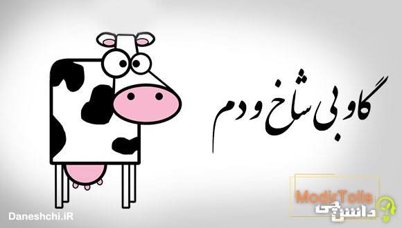 گاو بی شاخ و دم