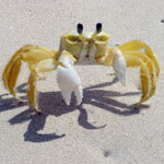 جانور خرچنگ