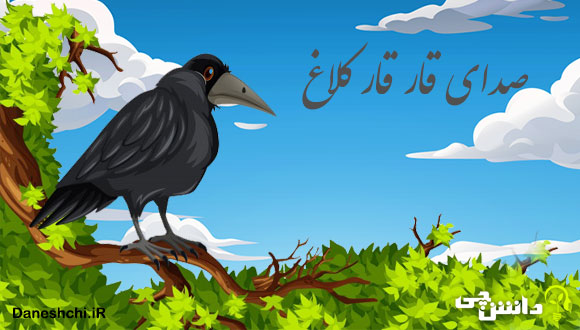 توصیف و انشا قارقار کلاغ