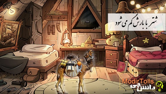 معنی شتر با بارش گم می شود