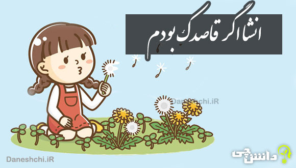 انشا در مورد اگر قاصدک بودم