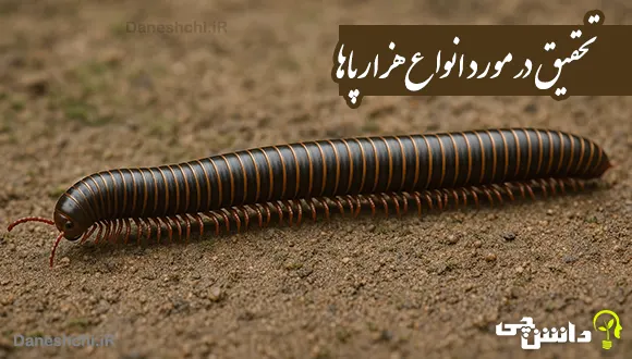 تحقیق در مورد انواع هزارپاها و غذایشان