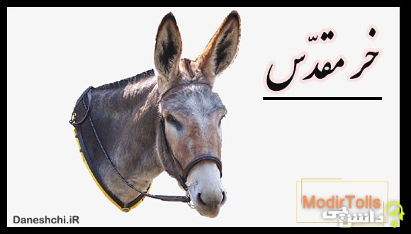 ضرب المثل خر مقدس بودن