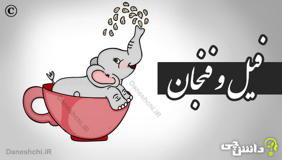انشا درباره فیل و فنجان