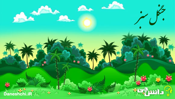 انشا در مورد جنگل سبز