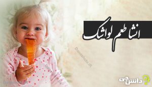 انشا در مورد طعم لواشک