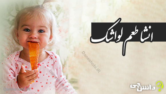 انشا در مورد طعم لواشک