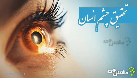 تحقیق در مورد چشم انسان 