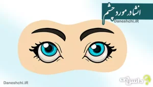 انشا دانش آموزی درباره چشم