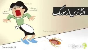 انشا طنز در مورد ترس از سوسک