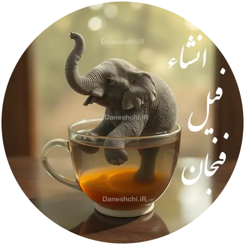 انشا فیل و فنجان