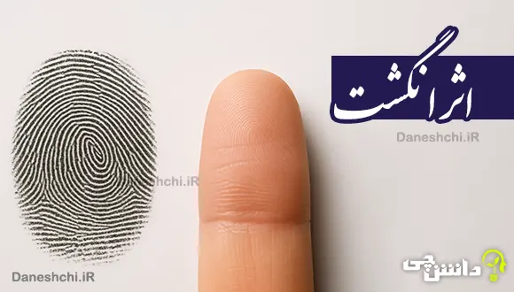 تحقیق در مورد اثر انگشت و انواع آن