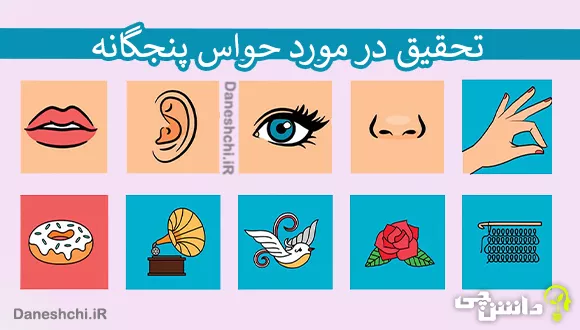 تحقیق در مورد حواس پنجگانه + مثال