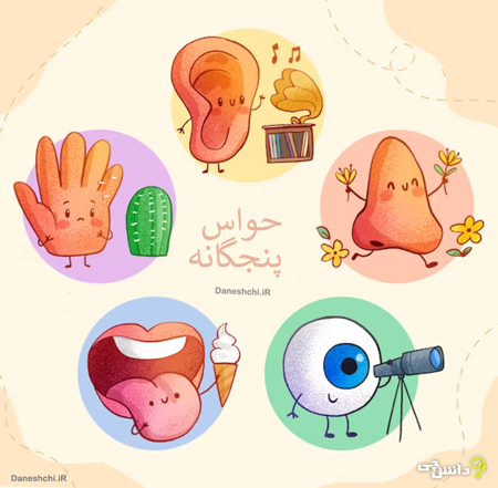 مثال حواس پنجگانه
