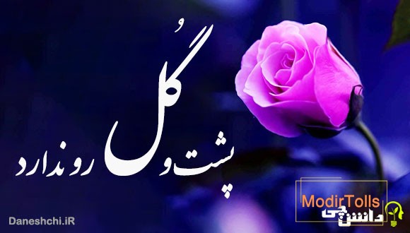 گل پشت و رو ندارد