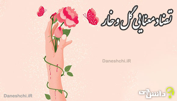 انشا با تضاد معنایی گل و خار