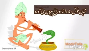 زبان خوش مار را از سوراخ بیرون می‌آورد