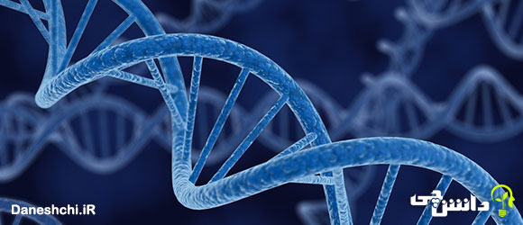 در مورد ژن تحقیق در مورد ژن