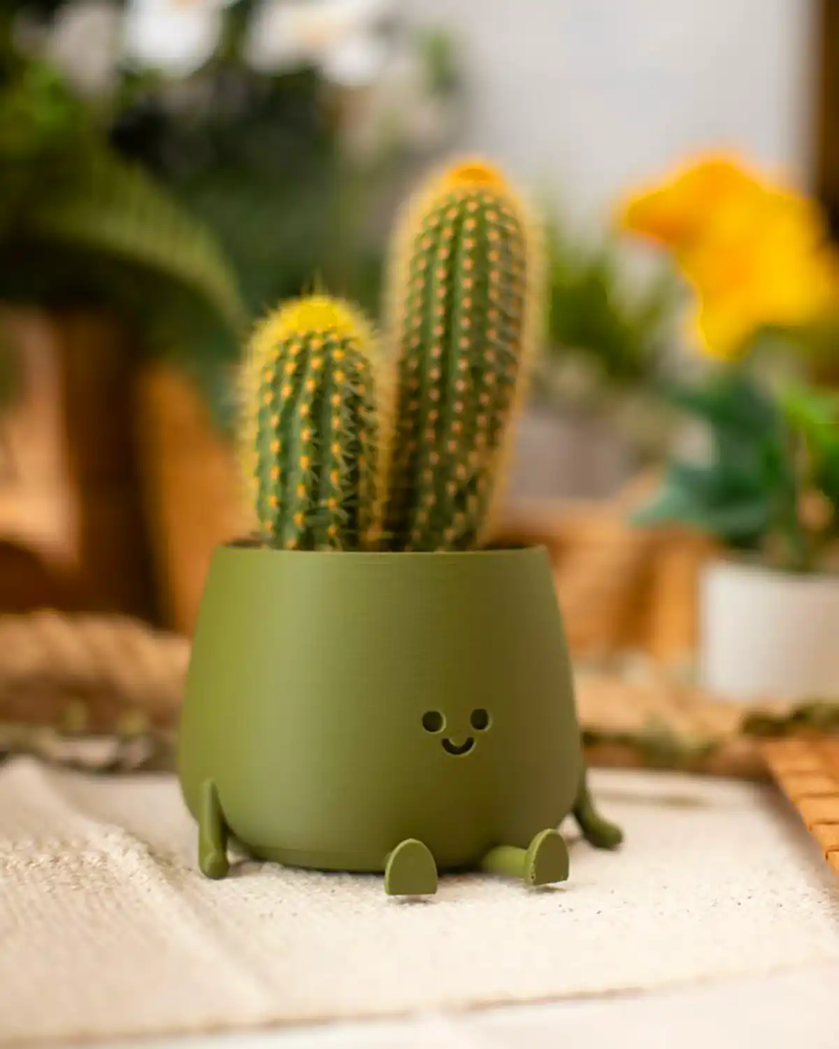 گلدان مینیمال کیوت