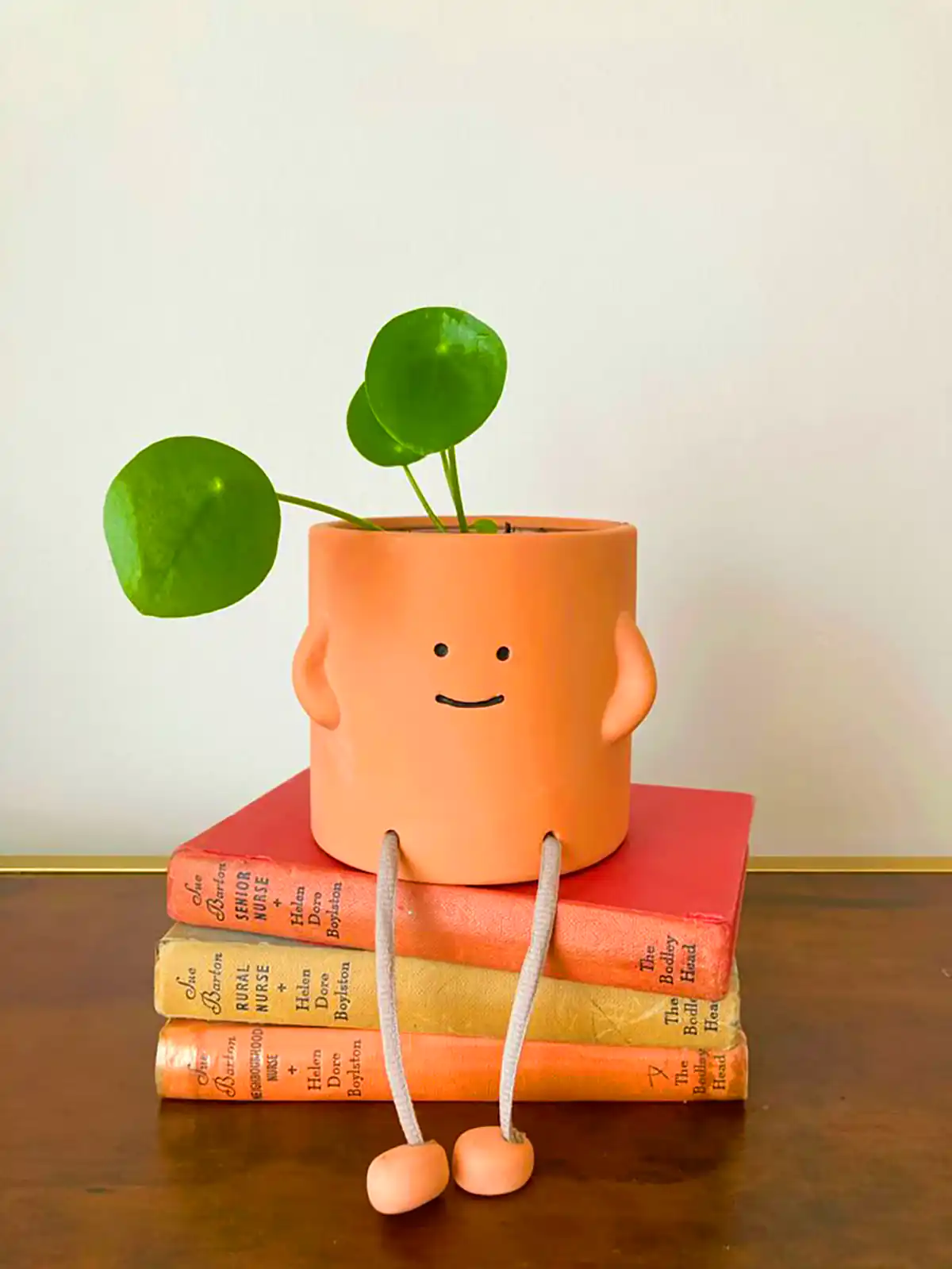 گلدان مینیمال کیوت