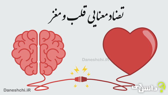 انشا با تضاد معنایی قلب و مغز