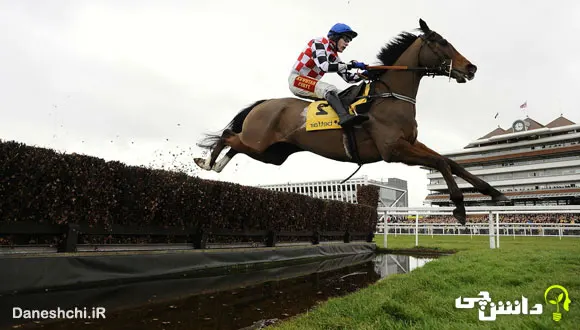 تحقیق در مورد ورزش اسب سواری (سوارکاری) + تاریخچه آن