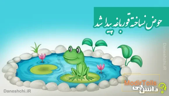 حوض نساخته قورباغه پیدا شد