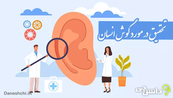 تحقیق در مورد گوش انسان و شگفتی های آن