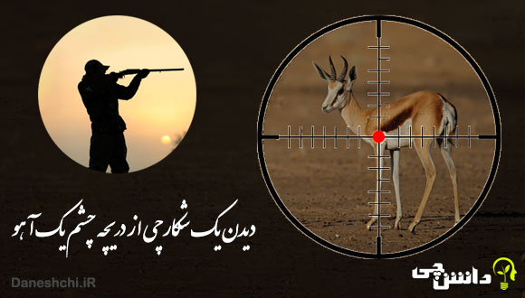 توصیف و انشا دیدن یک شکارچی از دریچه چشم یک آهو