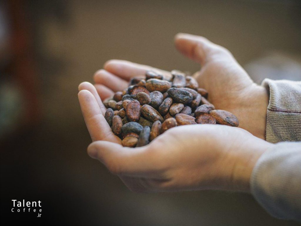 خواص کاکائو کمک به حافظه