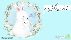 انشا در مورد اگر من خرگوش بودم