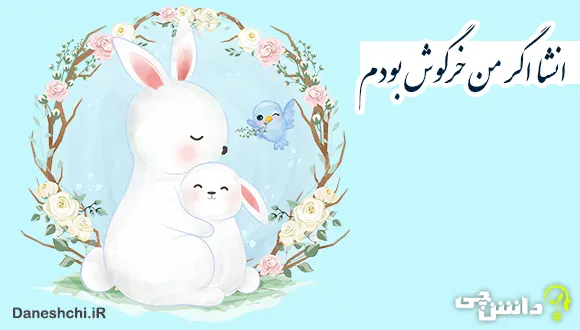 انشا در مورد اگر من خرگوش بودم