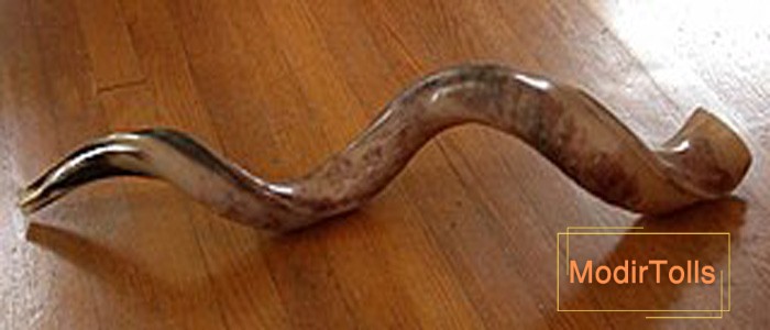 ساز شوفار چیست؟