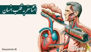 انشا در مورد سفر به قلب انسان