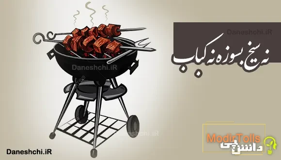 نه سیخ بسوزه نه کباب 