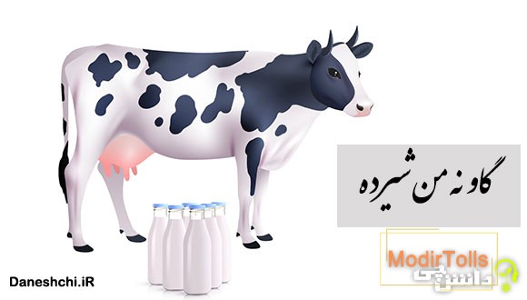ضرب المثل گاو نه من شیرده