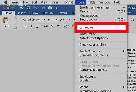 تنظیمات Language در ورد macOS