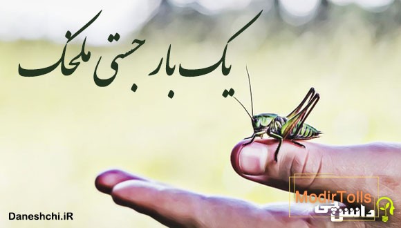 یك بار جستی ملخک