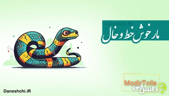 مار خوش خط و خال