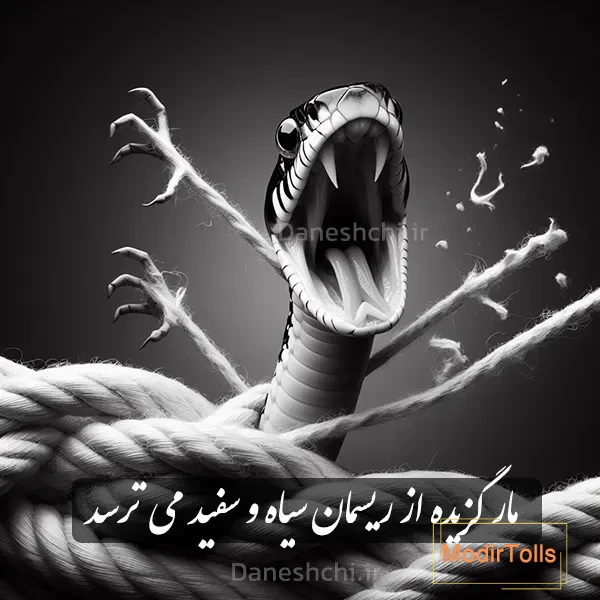 مار گزیده از ریسمان سیاه و سفید می ترسد