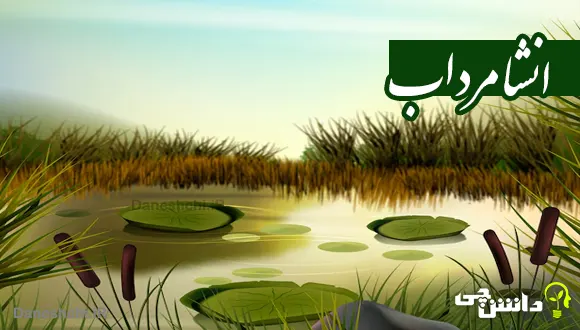 انشا درباره مرداب