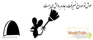 موش تو سوراخ نمیرفت، جارو به دمش می بست