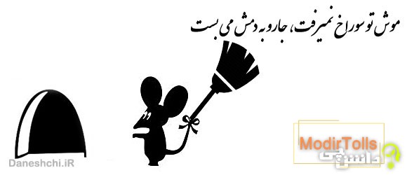 موش تو سوراخ نمیرفت، جارو به دمش می بست 