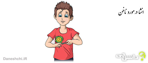 انشا از زبان ناخن