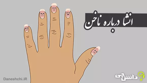 انشا درباره ناخن