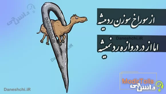 از سوراخ سوزن رد میشه اما از در دروازه رد نمیشه
