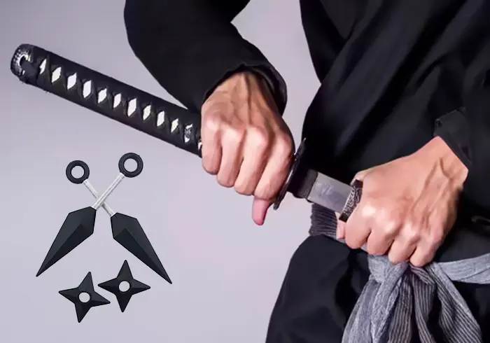 سبک ها و تکنیک های ورزش نینجا