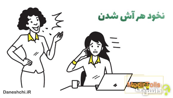 نخود هر آش شدن کنایه از چیست؟