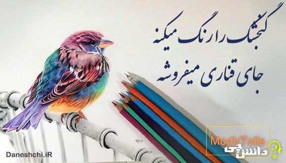 گنجشک را رنگ میکنه جای قناری میفروشه