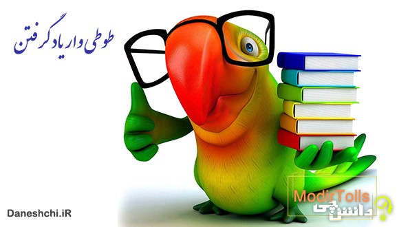 ضرب المثل طوطی وار یاد گرفتن